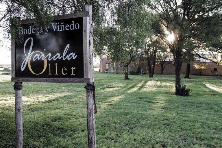 bodega-jairala-oller-viñas-de-Ischilin